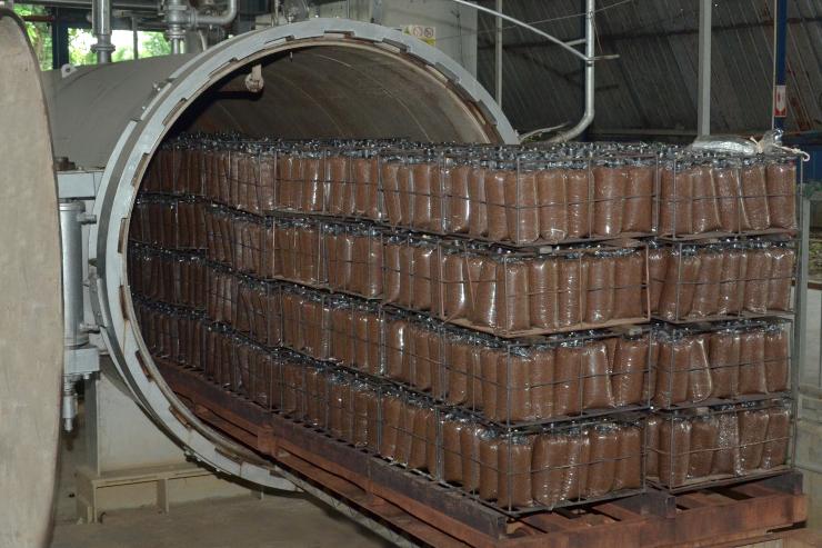 Poly bags are placed in the sterilization machine